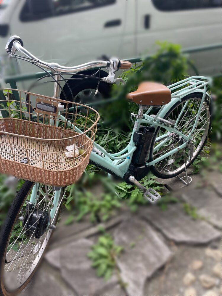 ブリジストン　カジュナ